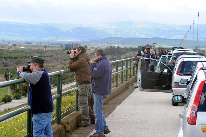 Biviere di Lentini 23.1.2011 (238).jpg